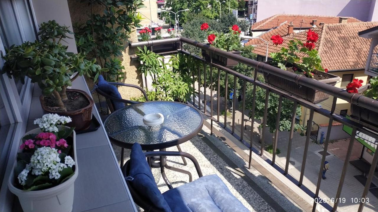 Apartman Rada Пирот Екстериор снимка