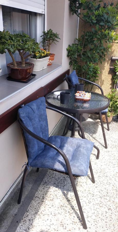 Apartman Rada Пирот Екстериор снимка